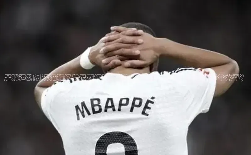 天富登录入口网站百度 H5足球运动员标准等级表最新解读：从A级到D级，你的偶像位于哪个水平？