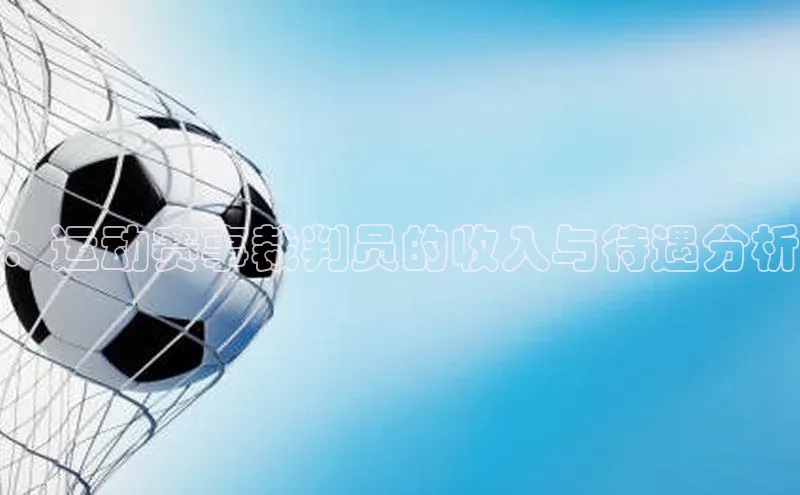 天富测速登录地址赛富乐斯：运动赛事裁判员的收入与待遇分析