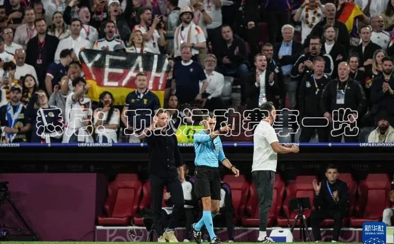 悉尼：顶级运动赛事一览