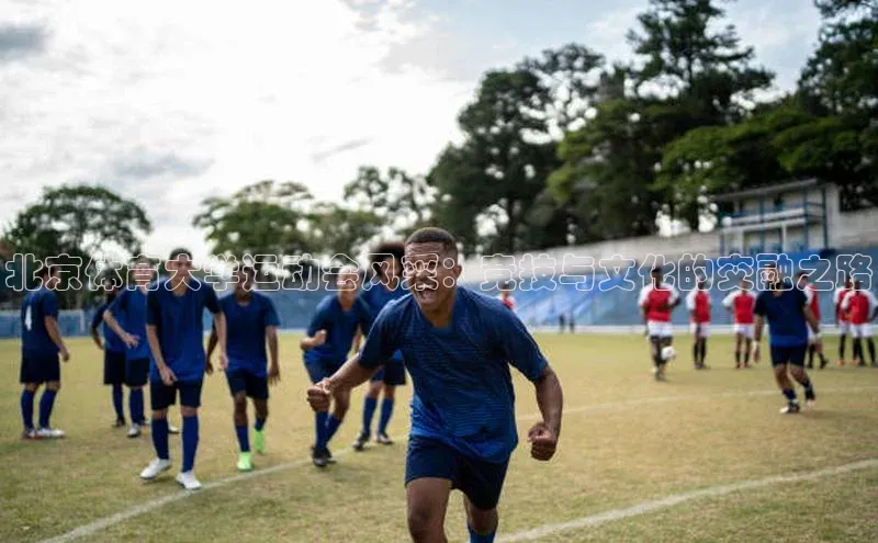 北京体育大学运动会风采：竞技与文化的交融之路