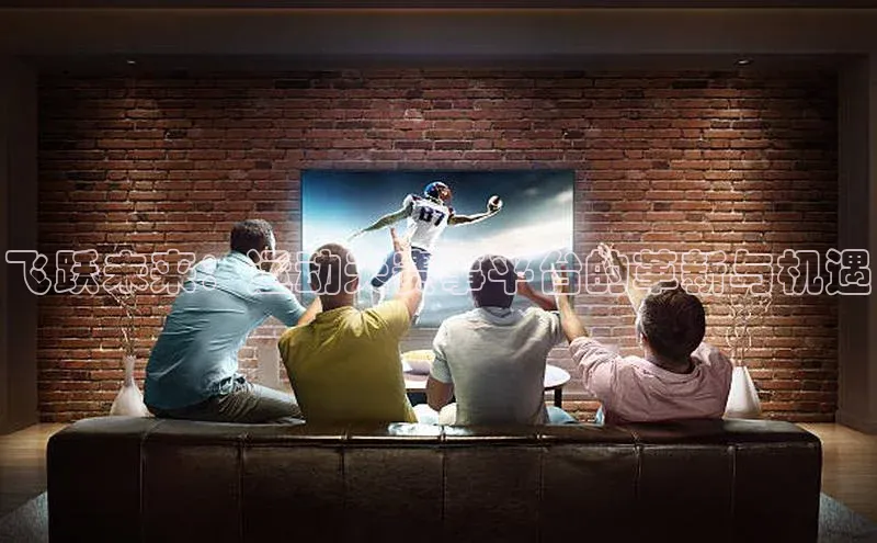 飞跃未来：运动天赛事平台的革新与机遇