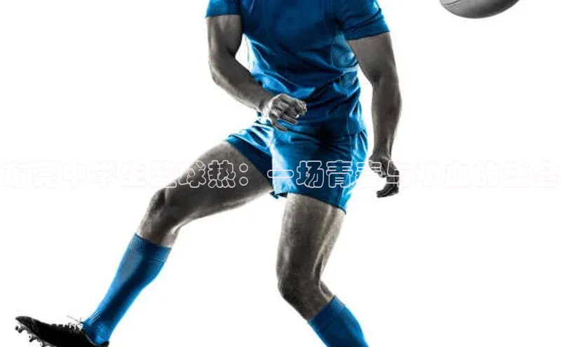 东莞中学生篮球热：一场青春与热血的盛会