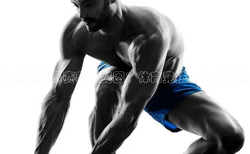 中国运动员赛事概览图：体育竞技的多元世界