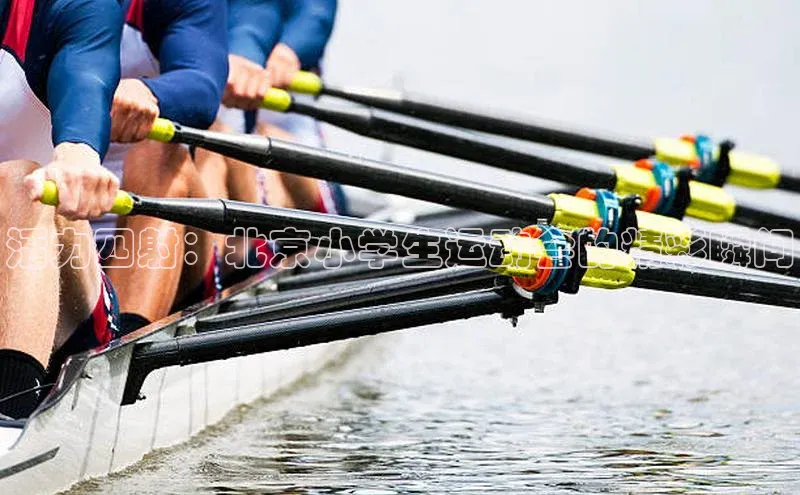 活力四射：北京小学生运动会的精彩瞬间