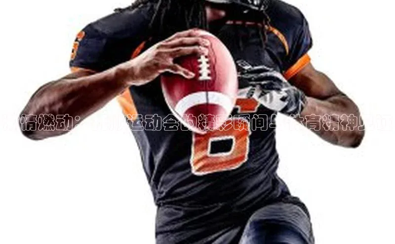 激情燃动：抚顺运动会的精彩瞬间与体育精神见证