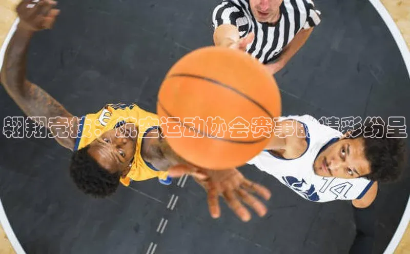 翱翔竞技：航空运动协会赛事的精彩纷呈